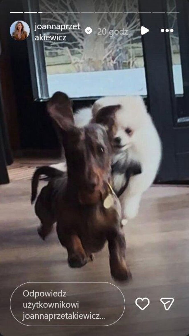 Wielkanoc u Przetakiewicz? To nie święta, to luksusowy bankiet!