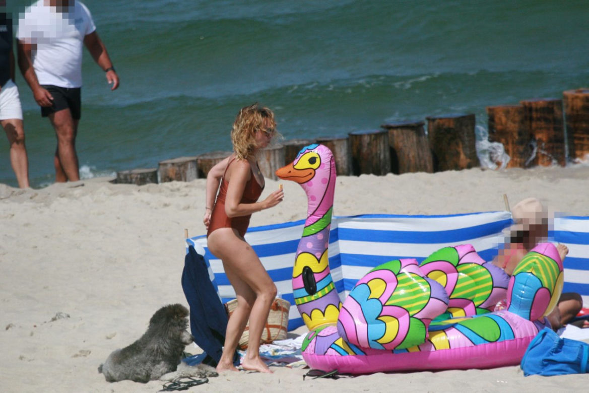 Wielki ptak był sensacją na plaży