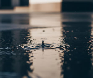 Iwona Wieczorek: Przełom w sprawie zaginięcia? Prokuratura planuje nowe działania!