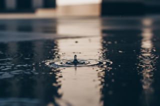 Iwona Wieczorek: Przełom w sprawie zaginięcia? Prokuratura planuje nowe działania!