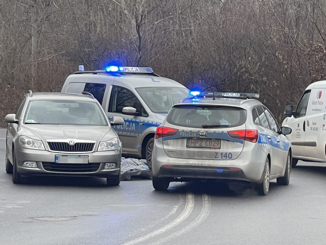 Umarł na środku drogi 