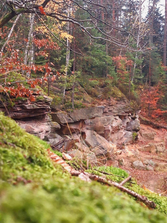 Oczy Ziemi w Świętokrzyskiem – mało znana atrakcja, która zachwyca turystów