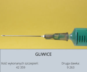 Koronawirus Śląskie. W tych powiatach zaszczepiono najwięcej osób [GALERIA] 