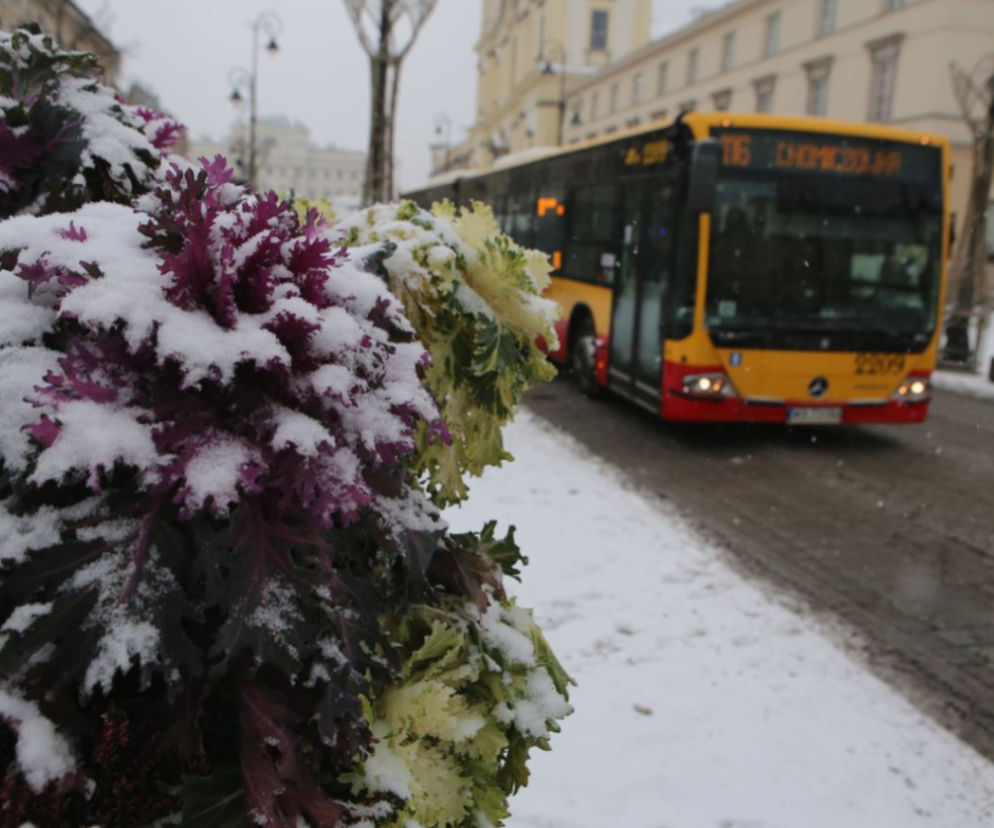 Boże Narodzenie, 26.12.2021.Jak kursuje komunikacja miejska w Warszawie? [ROZKŁADY JAZDY]