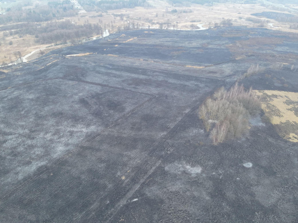 Mazowsze płonie. Ponad 300 pożarów w dwa dni. Strażacy biją na alarm!