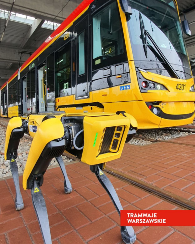 Pies-robot odwiedził tramwajarzy. Niecodzienny gość w zajezdni na Bielanach