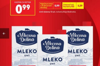 Poświąteczne promocje w Biedronce