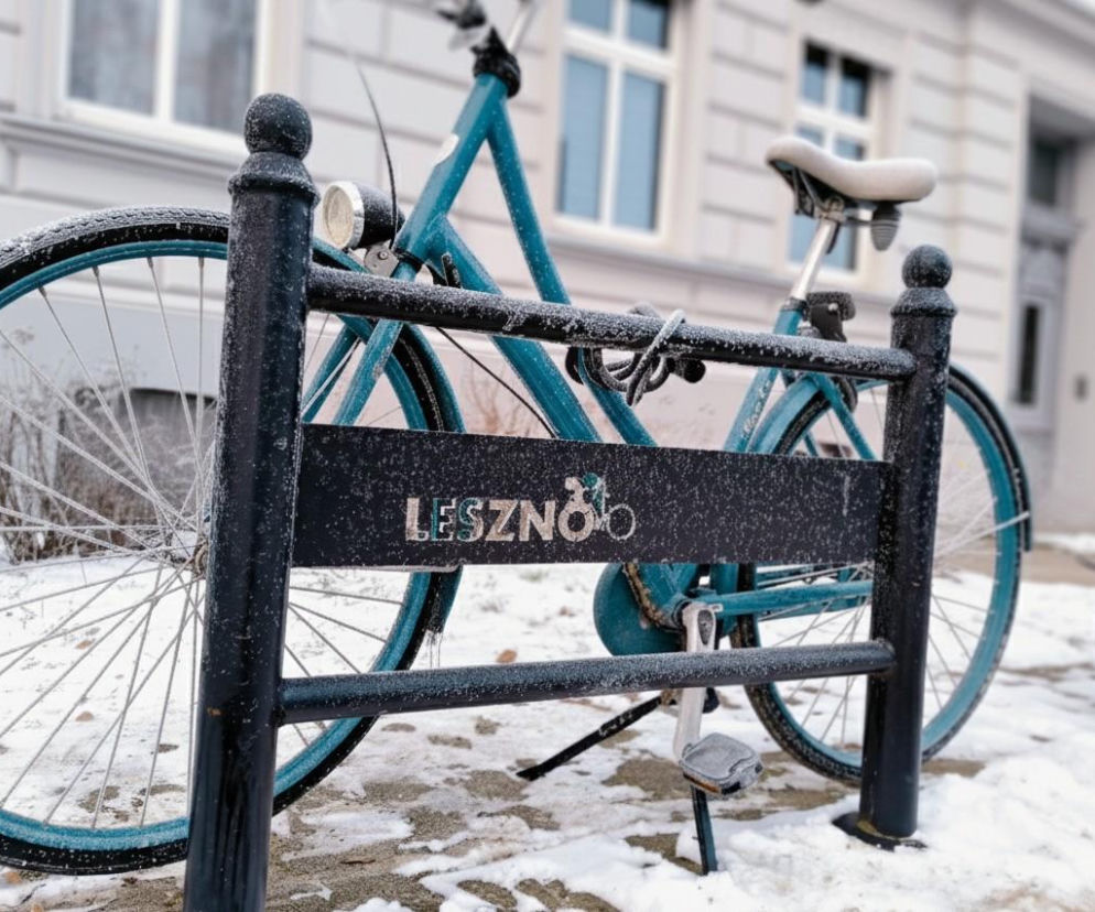 Czy to naprawdę siarczysta zima? Mrozy w Lesznie na tle ostatnich 50 lat