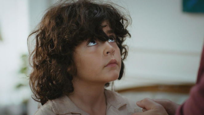 Dziedzictwo, odc. 878. Poyraz, Yusuf