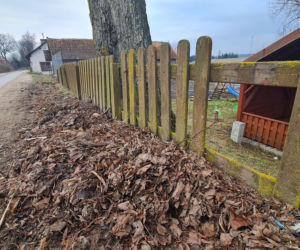 To się nazywa kopniak! Pan Grzegorz utknął między sztachetami!