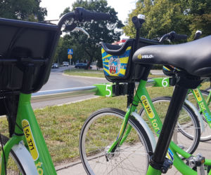 Walentynki na rowerze? Powraca Rower Miasta Toruń!