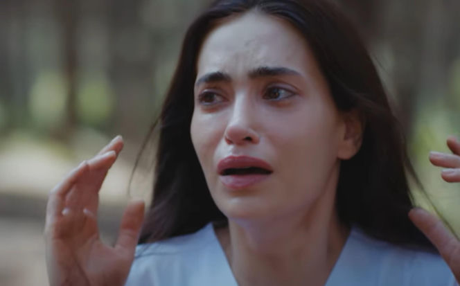 Dziedzictwo, odcinek 892: Ferit ratuje nieprzytomną Ayse, a Poyraz zabija Szakala