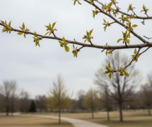 Pogoda na weekend w Gdańsku 17-19 kwietnia. Słoneczny piątek i pochmurny koniec tygodnia