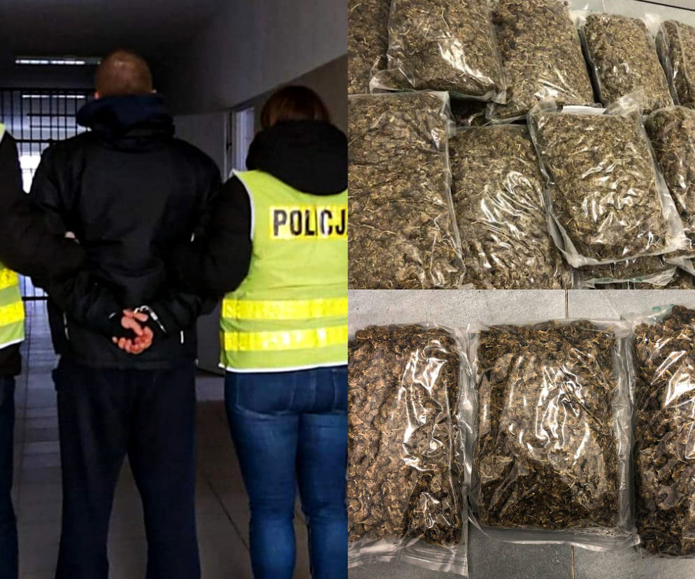 Akcja policji na Dziesięcinach. Białostoczanin miał w mieszkaniu SPORO marihuany [ZDJĘCIA]