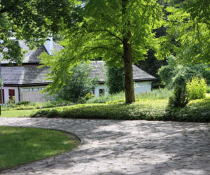 Botaniczna Piątka wraca w letniej odsłonie i świętuje 10-lecie! Bieg odbędzie się także w Ogrodzie Botanicznym UMCS