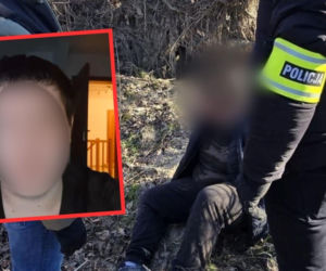 Dlaczego ludzie chcą oglądać rzeź w Kadłubie? Profiler pyta, internauci szczerze odpowiadają