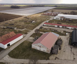 Nie chcą krów, much i smrodu