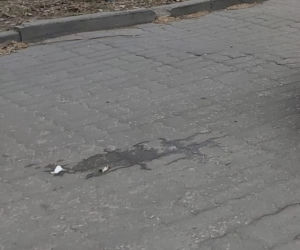 Makabra na Mokotowie. Mercedesem przejechał staruszkę. 81-latka zmarła w szpitalu