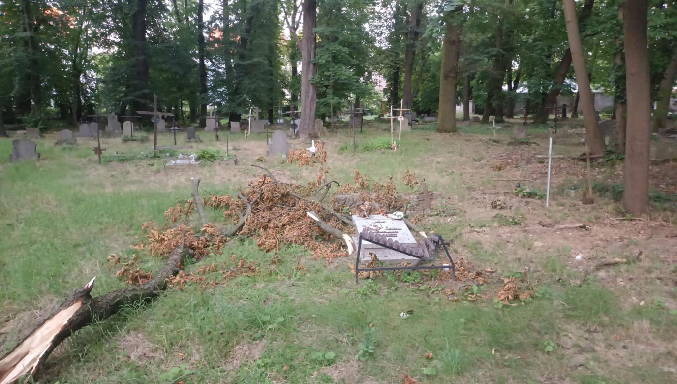 Opuszczony cmentarz w Opolu. Tu zatrzymał się czas