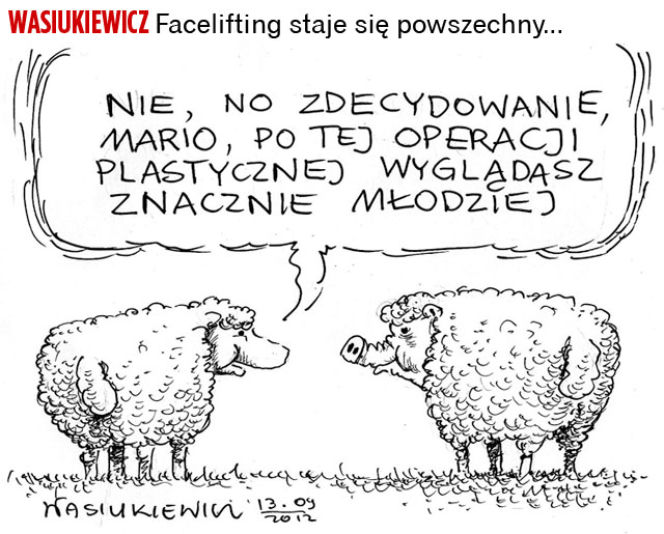 Rysunek dnia