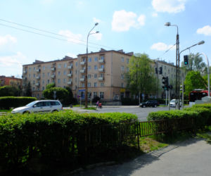 Mieli wycinać, ale przesadzili. Tylko czy klony się przyjmą w nowym miejscu?