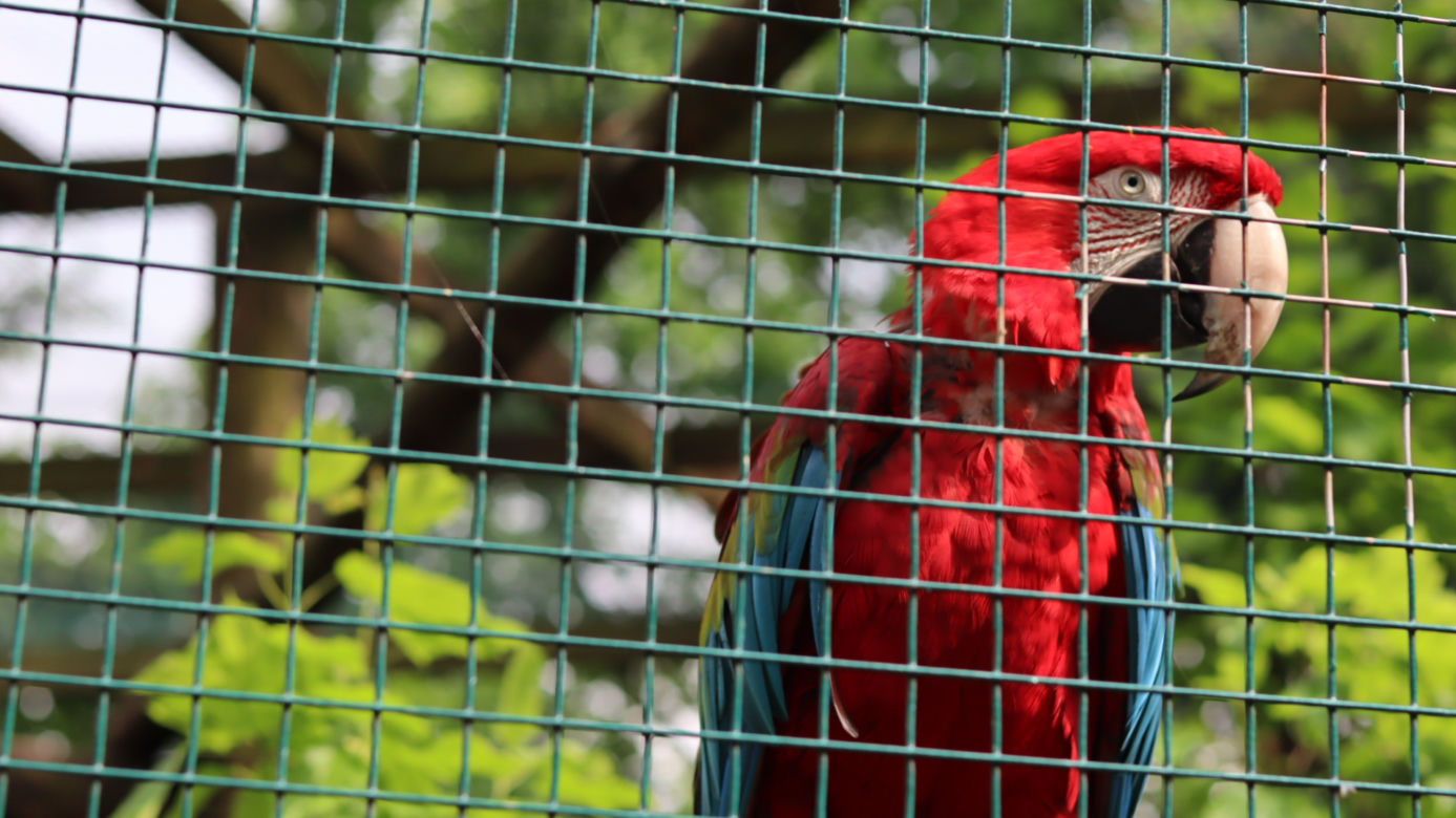 Pomysł na wycieczkę niedaleko Lublina? Zoo w Wojciechowie to idealny kierunek!