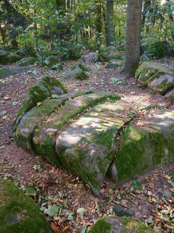 Góra Dobrzeszowska w Świętokrzyskiem