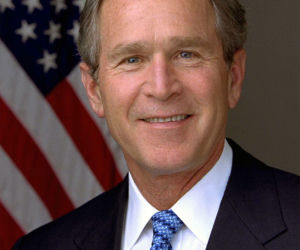 Bush