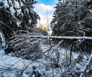 Atak zimy w Elblągu
