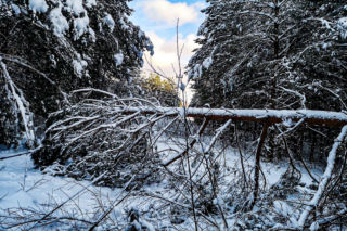 Atak zimy w Elblągu