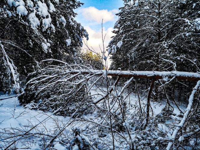 Atak zimy w Elblągu