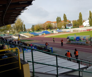Elana Toruń - Stal Stalowa Wola - zdjęcia z meczu i trybun