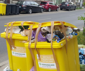 Bydgoszczanie mają już dość! Wciąż toną w śmieciach!