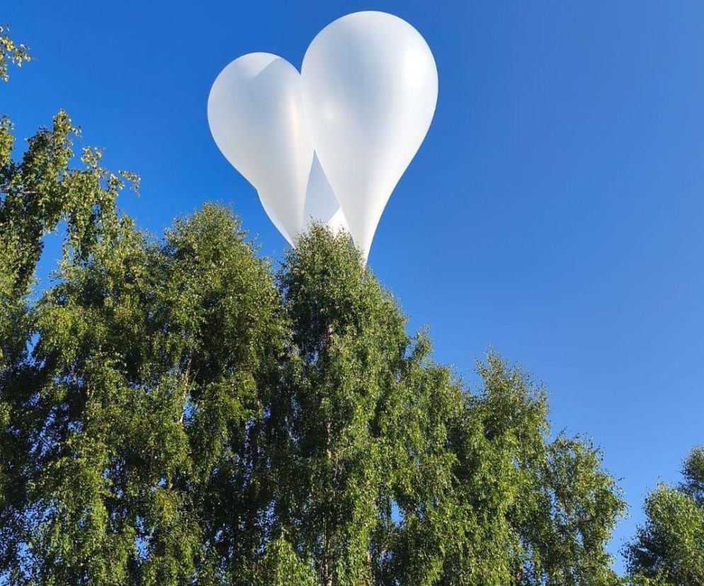 Balon z tajemniczym pakunkiem spadł pod Augustowem. Policja obserwowała okolicę