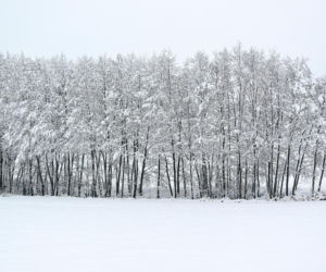 Trudne warunki pogodowe