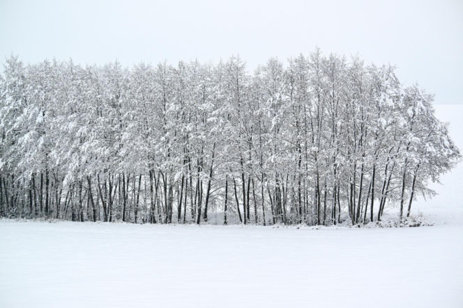Trudne warunki pogodowe