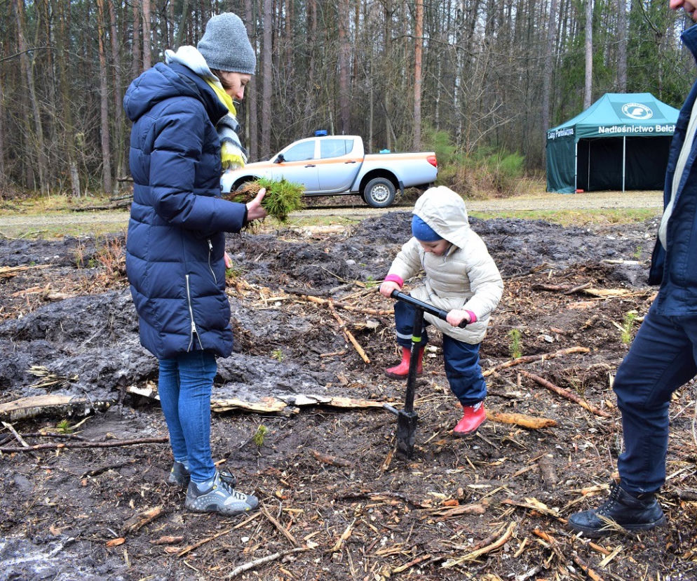 Bełchatowianie wspólnie sadzili las dla przyszłych pokoleń. Kto wziął udział w akcji?