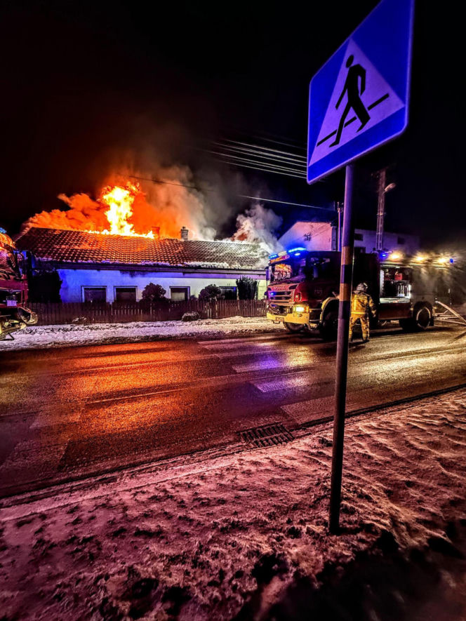 Druh Tymek wyniósł kota z płonącego domu. „Być może nie udałoby się go uratować”