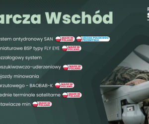 Lista programów SAFE