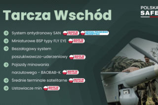 Lista programów SAFE