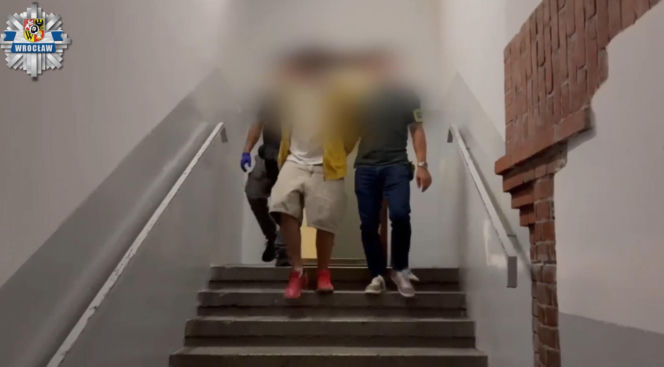 Horror na Dolnym Śląsku. 19-latek podejrzany o przestępstwa seksualne wobec dzieci