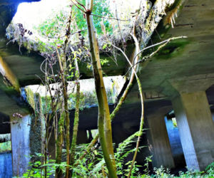 Tajemnicza podziemna hala w woj. warmińsko-mazurskim. Nikt nie wie, co tam się znajdowało