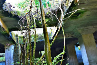 Tajemnicza podziemna hala w woj. warmińsko-mazurskim. Nikt nie wie, co tam się znajdowało