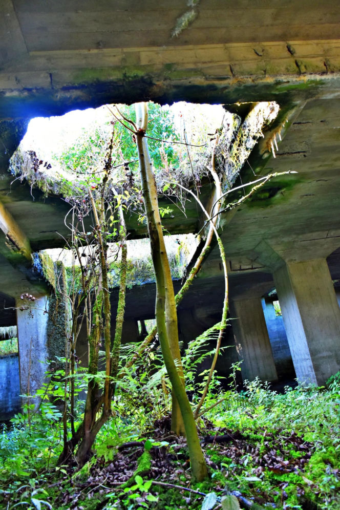 Tajemnicza podziemna hala w woj. warmińsko-mazurskim. Nikt nie wie, co tam się znajdowało