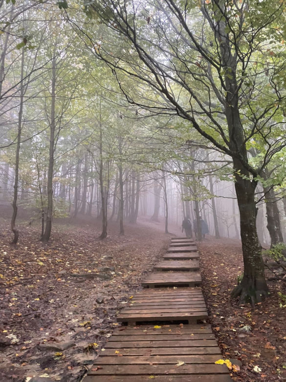 Mimo deszczu turyści odwiedzają Bieszczady