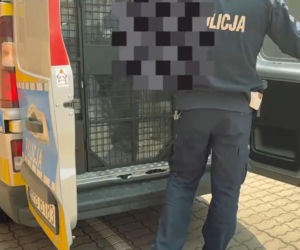 Rodzinny dramat pod Jaworem. 35-latek pobił matkę i groził, że zabije rodziców