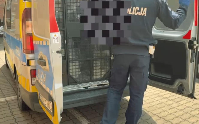 Rodzinny dramat pod Jaworem. 35-latek pobił matkę i groził, że zabije rodziców