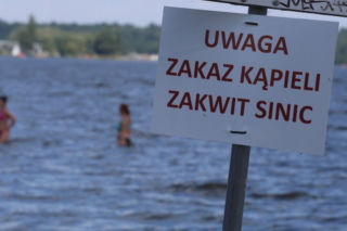 Sinice na Pomorzu! Zamknięto popularne kąpielisko. Ręce opadają