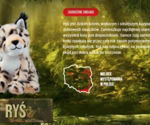 Gang Swojaków 