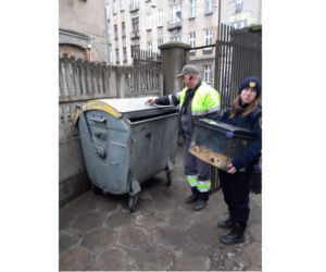 Chcieli wywieźć śmieci, znaleźli... CHOMIKA W AKWARIUM! Wezwano Animal Patrol